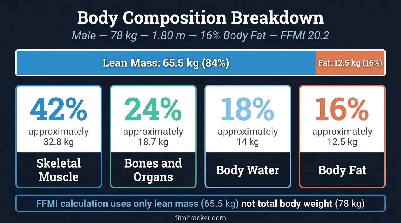 FFMI body composition breakdown lean mass vs body fat infographic